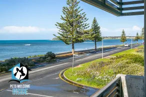 Voted TOP 10 holiday home in Stayz 2021 Holiday Home Awards - Image 5
