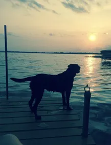 Dream sunsets from this two bedroom lakeside cabin - Image 2