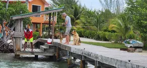 Therapy Cabin 3 - Island Cabin - AC, Boat Transfer, Starlink - Image 2