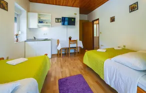 Three-Bedroom Apartment In Ostrvica - Image 5