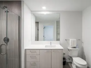 Convenient for Professionals| Lux  Amenities | nr Dulles Airport - Image 4