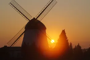 Kleine Ferienwohnung bei der Windmühle - Image 5