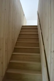 Moderne Skov tilbagetog - Image 2