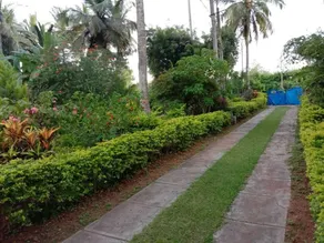 Coco Palms Homestay - Image 4