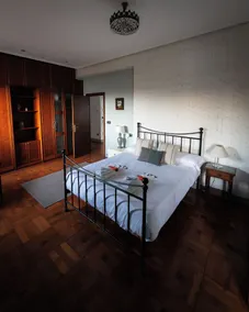 Sasueta Manor House 5 minutes from downtown - Image 3