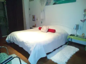 Chácara com Muito Verde e Tranquilidade - Image 3