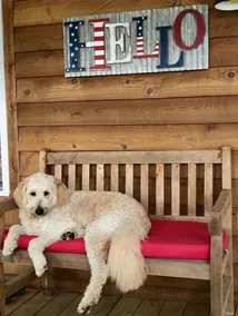 Lakefront, Gas Firepit. Hot Tub. Private Dock. Pup Friendly - Image 3