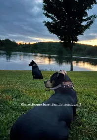 Magische Sonnenuntergänge, ultimativer Komfort am Wasser Rückzug in ländlichen PA - Image 3