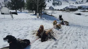 spazioso appartamento in stile chalet nel villaggio savoiardo 1000 metri Mont Saxonnex - Image 2