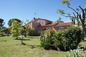 Flot stor villa i et roligt 30 min fra havet - Image 3