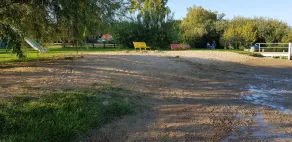 Ferienhaus in reizvoller und traumhafter Lage am Plauer See für 4 Personen - Image 2