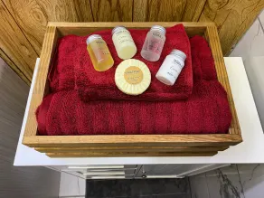 The Mountaineer Lodge - Image 3
