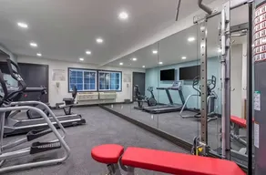 Restful Vacation! Four Convenient Units, Near Torrance Beach, Free Parking - Image 2