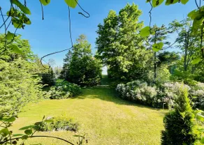4+ acres with 100 feet of sugar sand beach on Lake Huron - Image 5