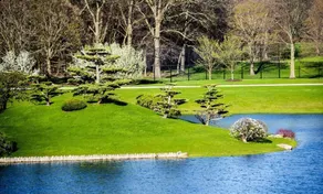 Great Relaxing Overnight Stay at Knights Inn Ashland! Pet-friendly, Pool! - Image 5