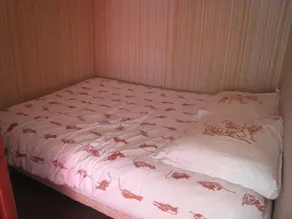 1st floor, balcony, tv, 31m², Alpe d'Huez - Image 3