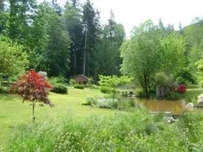 Forest Garden Cottage by the Ocean - Image 5