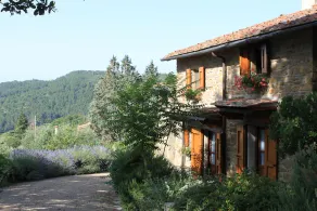 Schönes vollständig restauriertes toskanisches Bauernhaus mit - Image 3