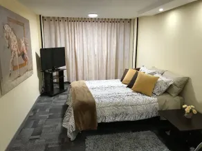 Entire Apartment Zona Rosa - Image 3