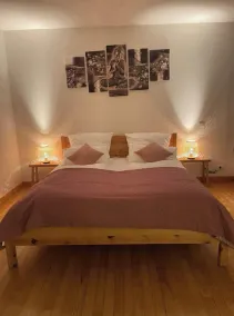 Magnificent villa/manor house/Bergheim forest - Image 3