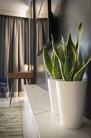 Veria Suite - Image 2