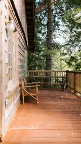 Cozy lakeside cabin! Rustic retreat w/ private dock- Pet Friendly! - Image 5