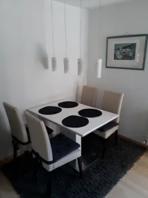 Apartments in the middle of dream ski resorts - Image 4