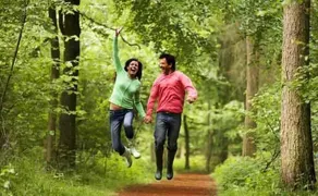Banasura Hill Resort - Image 3