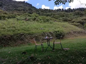 three private luxury cabins - Image 4