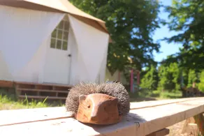 Glamping in nature at Yome Tallulah near Historic Port Hope - Image 4