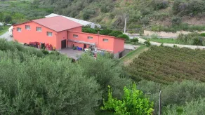 Il Casale Vasari - Image 5