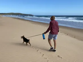 Work and chillax on a beach - Image 2