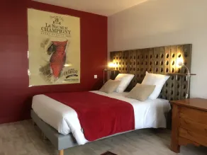 Casa 8-12p nel cuore del vigneto Saumur-Champigny - Domaine de Nerleux - Image 3