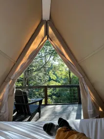 G-1 Glamp in Bohamia - 268 acre forest retreat - Image 3