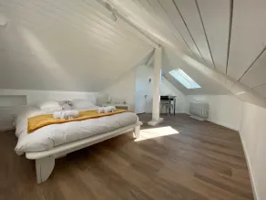 Tiny House - town house in the centre of Annecy: terrace & air conditioning - Image 4