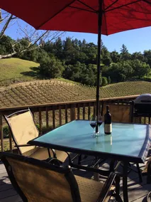 ✨Rustic Cabin i Dry Creek Valley med smuk udsigt // 5 miles til Plaza ✨ - Image 3