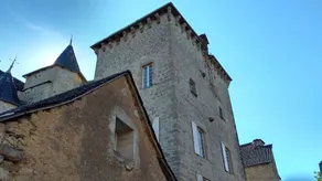 Le Donjon du Chateau de Balsac, between Conques and Rodez - Image 5