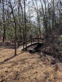 Cabin Whispering Creek - Wifi, vasca idromassaggio, Creekside Gazebo - Image 2