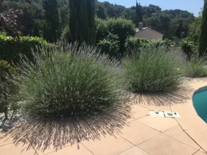Wir begrüßen Sie in einem typischen Dorf im Herzen der Provence - Image 4