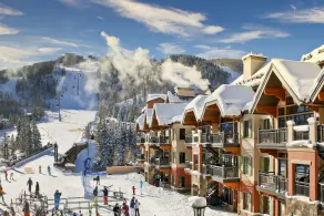 Ski-in/out Lionshead home w/ fireplace, fast WiFi & shared pool/hot tubs/laundry - Image 2