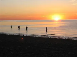 Beachfront Cottage w/Amazing Views! Steps 2 Beach. Fishing.WiFi.Wineries.Dining - Image 5