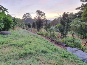 Tiny house on sustainable community - Image 5