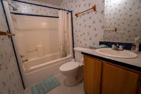 Hochfliegender Adler · Hochfliegender Adler auf den Fort Creek-CraterLake Bungalows - Image 3