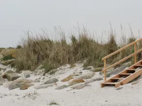 🐟Strandhaus direkt am Strand ohne störenden Autoverkehr🐟 - Image 3