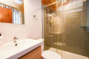 Quiet Retreat for Nature Lovers - 4 Seasons, Pet Friendly, Secluded  - Image 2