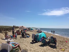 Cape Cod Retreat. Near Beaches and Amazing Pond - Image 5