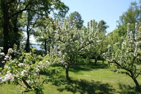 Estudio con jardín de invierno y vistas al lago - Ferienhof Löschenrand - Image 5