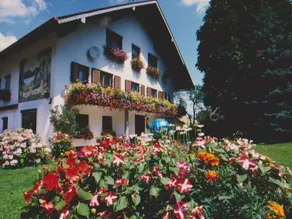 Ruheoase in der Natur nahe am Attersee - Image 3