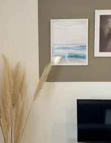 Superb apartment 300 metres from the Canal du Midi - Image 3
