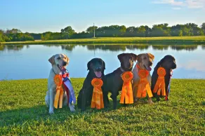 Beautiful Lodge Style Living. Hunting And Fishing Available. Pet Friendly. - Image 4